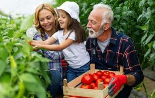 How much life insurance - business owner